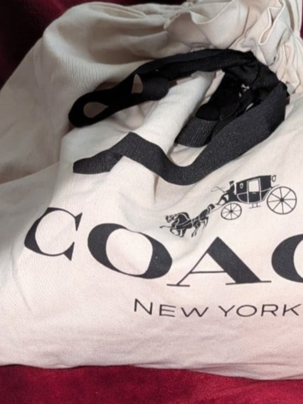 LARGE Coach Dustbag